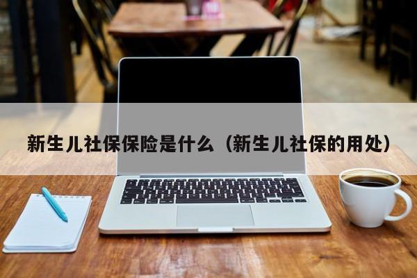 新生儿社保保险是什么（新生儿社保的用处）