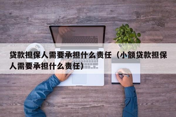 贷款担保人需要承担什么责任（小额贷款担保人需要承担什么责任）