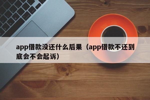 app借款没还什么后果（app借款不还到底会不会起诉）