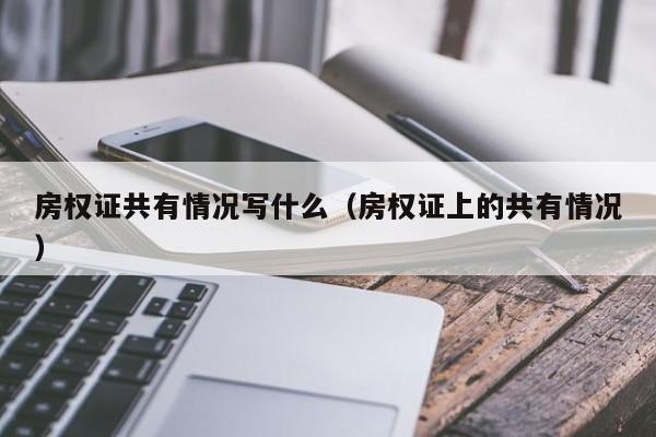 房权证共有情况写什么（房权证上的共有情况）