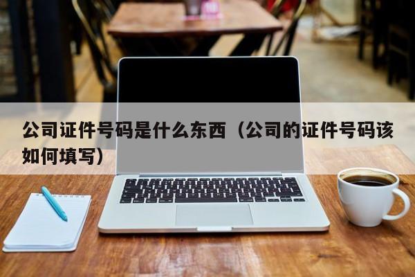 公司证件号码是什么东西（公司的证件号码该如何填写）