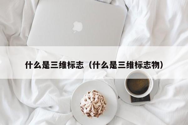 什么是三维标志（什么是三维标志物）