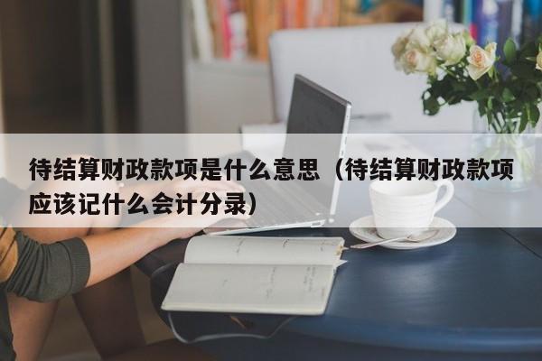 待结算财政款项是什么意思（待结算财政款项应该记什么会计分录）