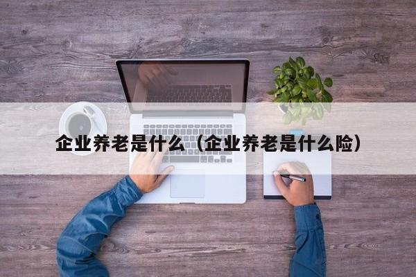 企业养老是什么（企业养老是什么险）