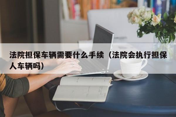 法院担保车辆需要什么手续（法院会执行担保人车辆吗）