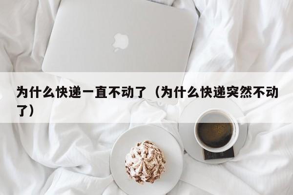 为什么快递一直不动了（为什么快递突然不动了）