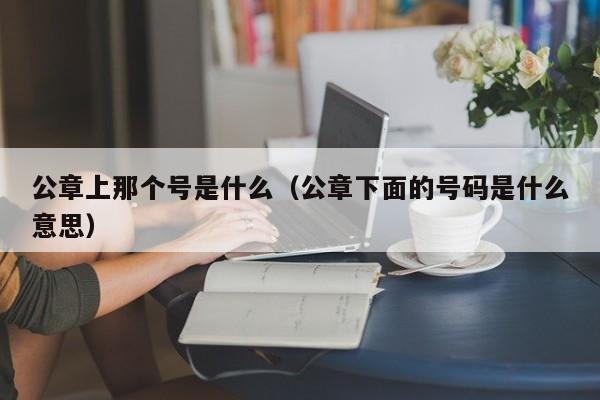 公章上那个号是什么（公章下面的号码是什么意思）