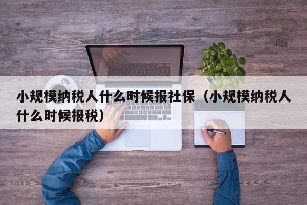 小规模纳税人什么时候报社保（小规模纳税人什么时候报税）