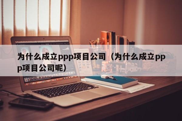 为什么成立ppp项目公司（为什么成立ppp项目公司呢）