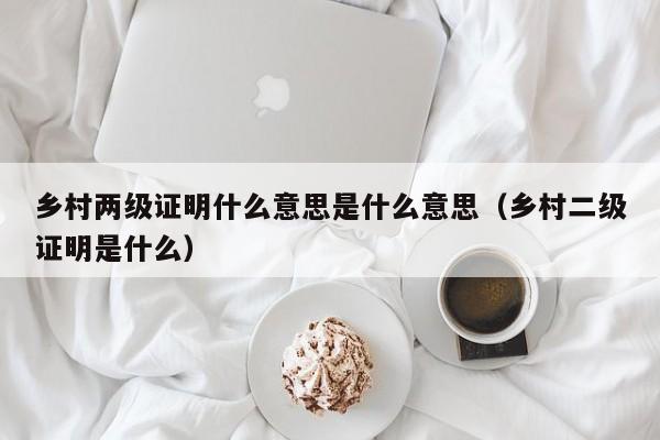 乡村两级证明什么意思是什么意思（乡村二级证明是什么）