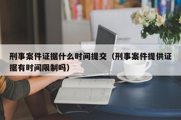 刑事案件证据什么时间提交（刑事案件提供证据有时间限制吗）