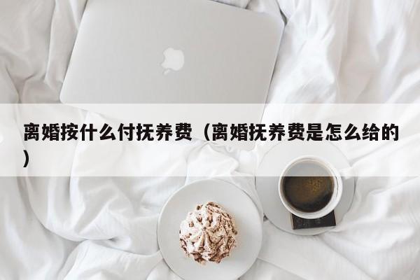 离婚按什么付抚养费（离婚抚养费是怎么给的）