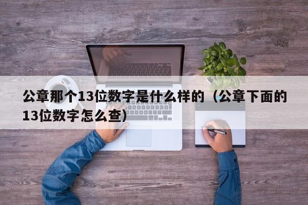 公章那个13位数字是什么样的（公章下面的13位数字怎么查）