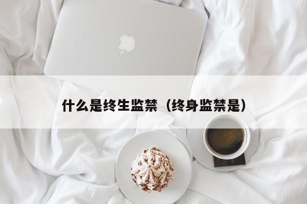 什么是终生监禁（终身监禁是）