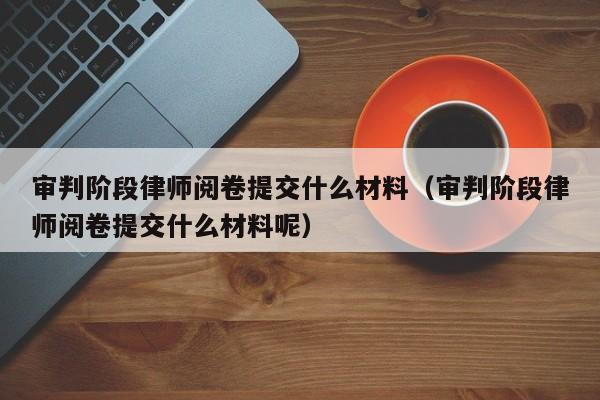 审判阶段律师阅卷提交什么材料（审判阶段律师阅卷提交什么材料呢）