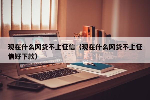 现在什么网贷不上征信（现在什么网贷不上征信好下款）