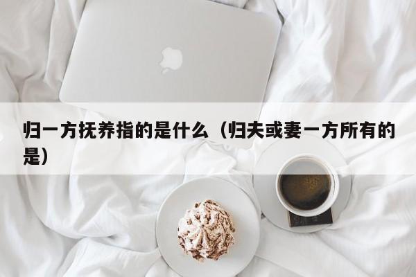 归一方抚养指的是什么（归夫或妻一方所有的是）