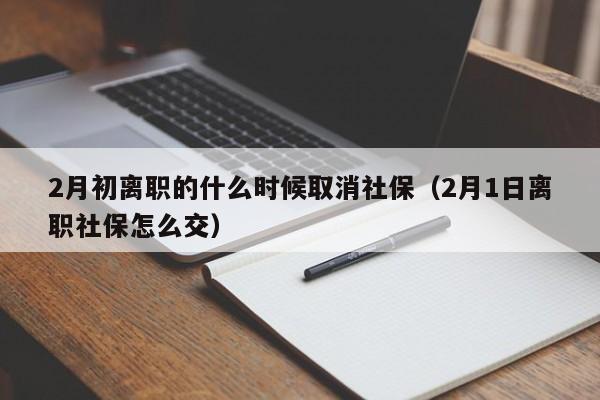 2月初离职的什么时候取消社保（2月1日离职社保怎么交）